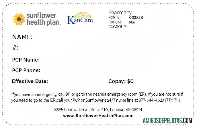 Cartão de seguro saúde do Kansas modelo